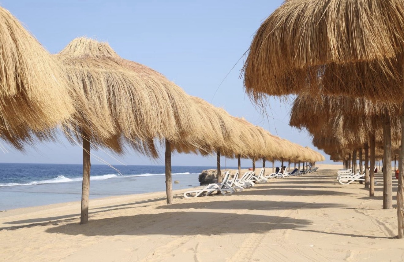 Zwischen Seekuh, Wüstensand und Rotem Meer – unsere Woche in Marsa Alam