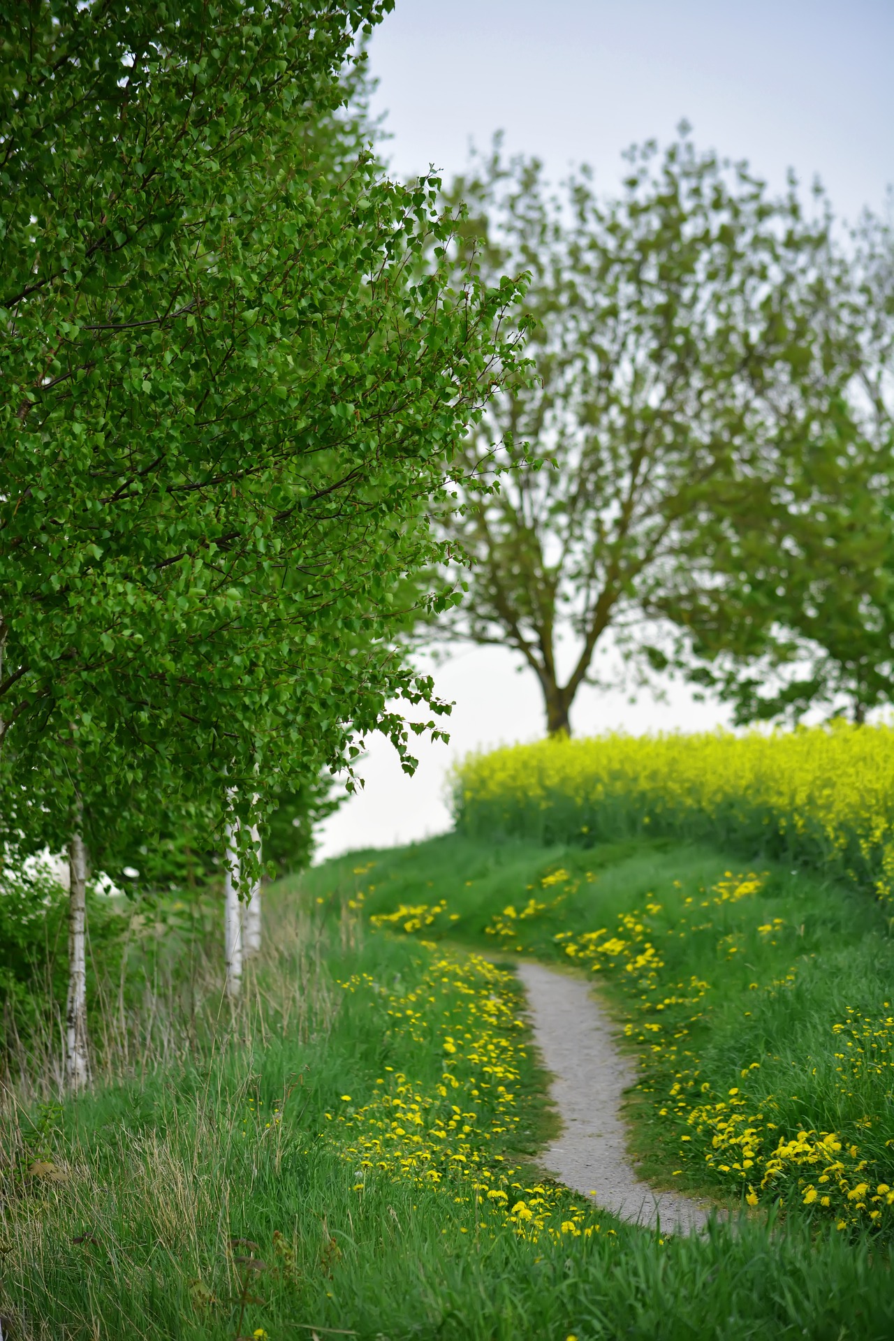 Manchmal liegt die Lösung neben dem Weg